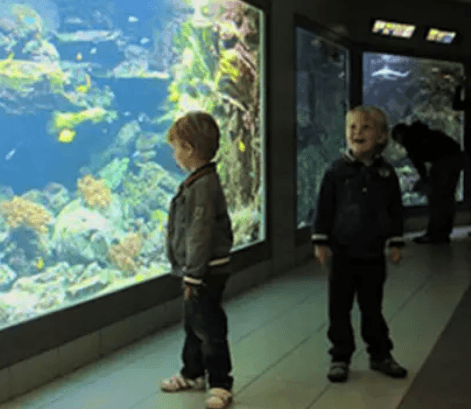 zeeaquarium